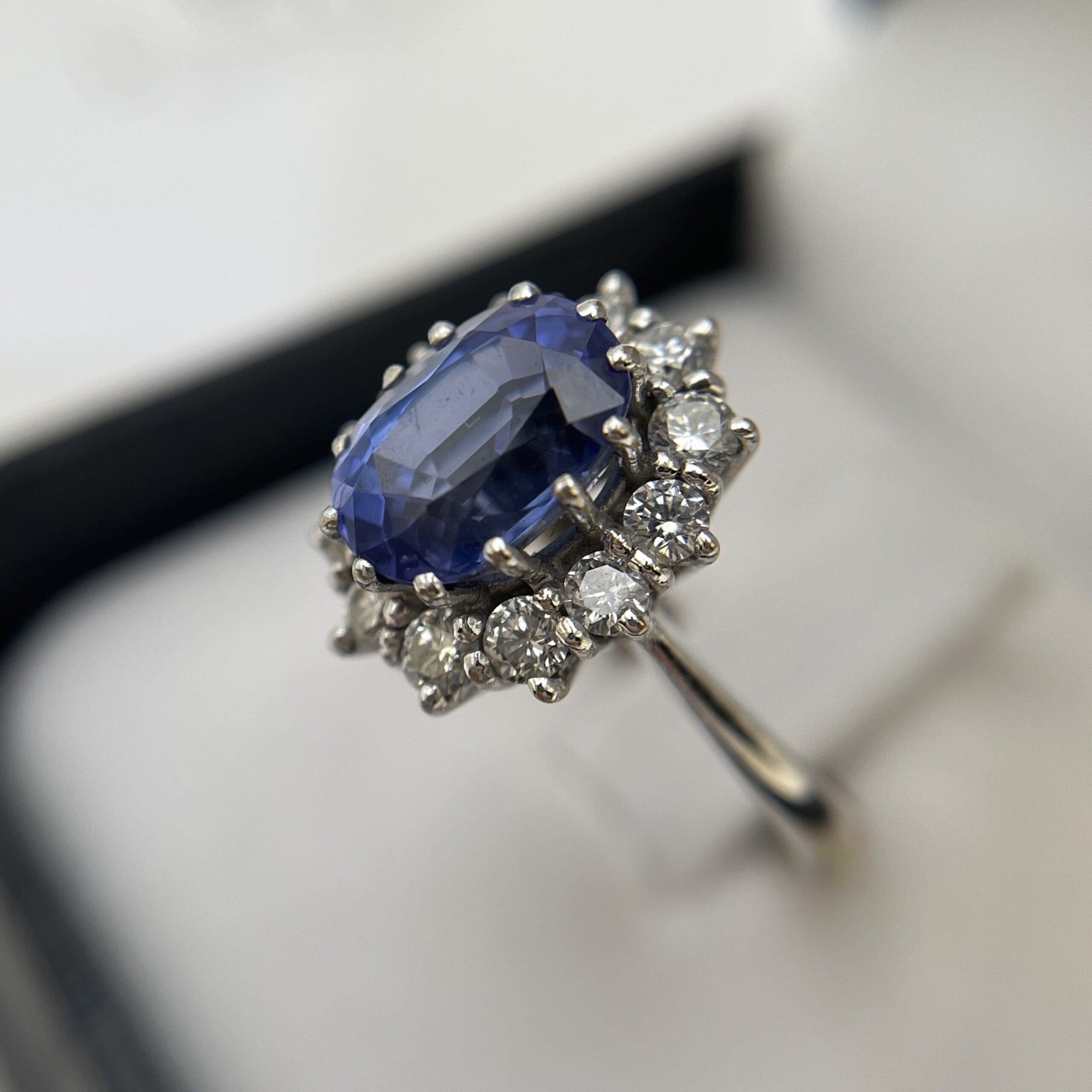 Lady Di Ceylan - Imagen 6