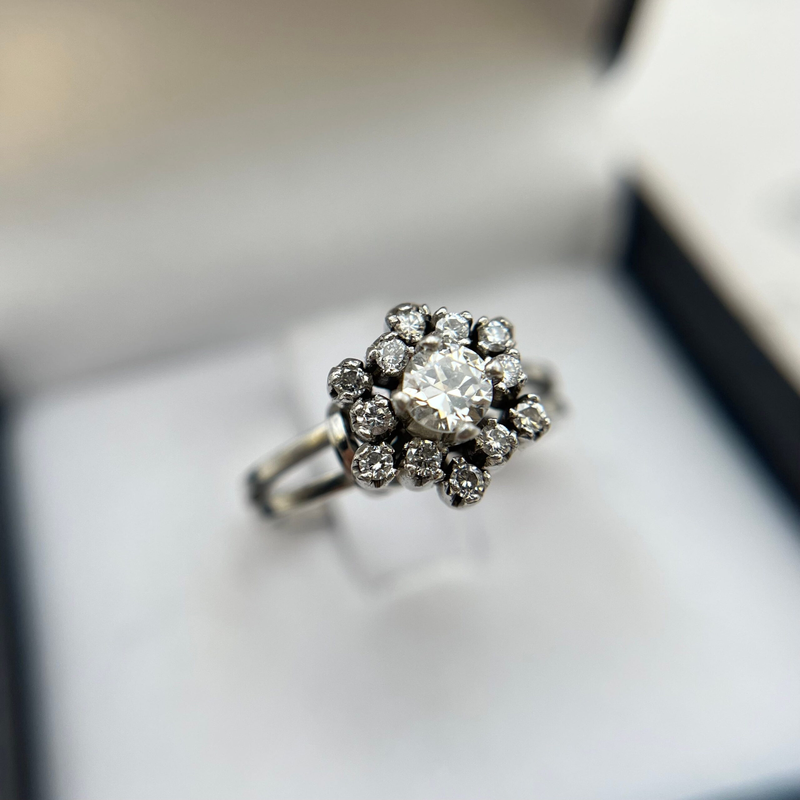 Roseta de brillantes en platino - Imagen 5